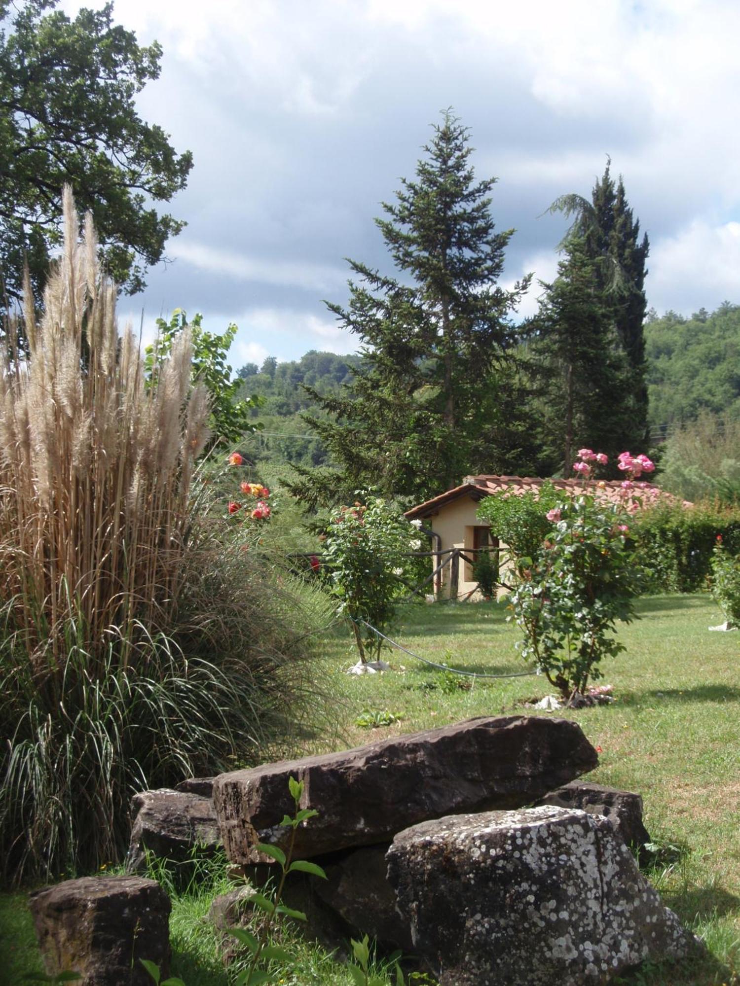 Villa Buonasera Agriturismo Греве-ін-К'янті Екстер'єр фото