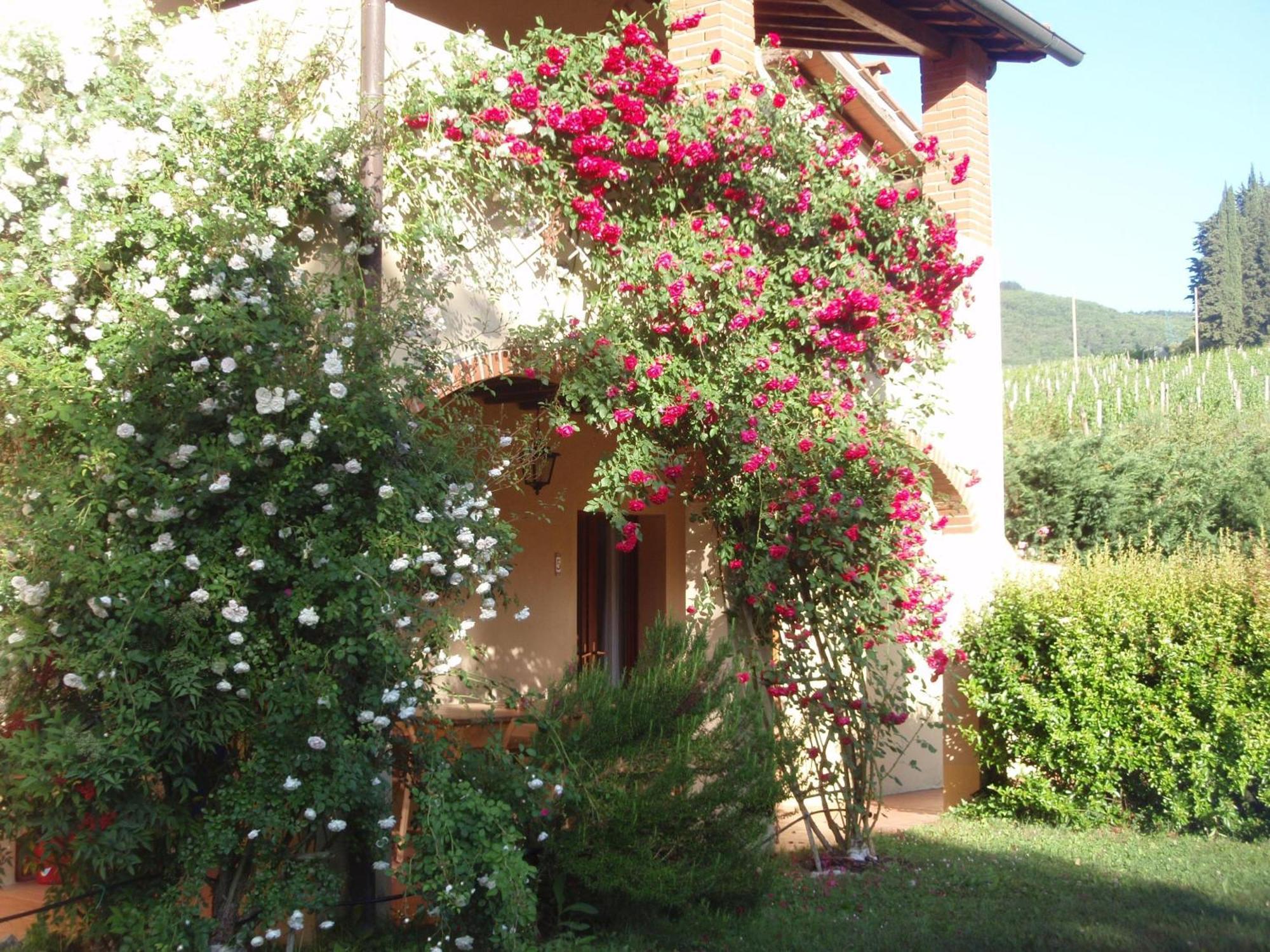 Villa Buonasera Agriturismo Греве-ін-К'янті Екстер'єр фото