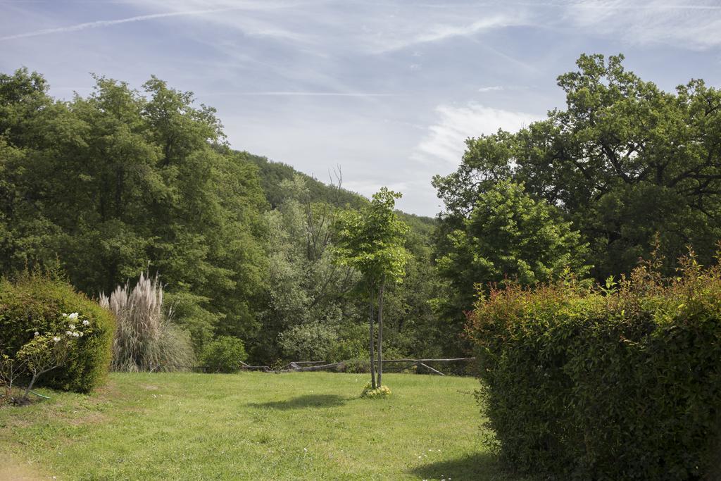Villa Buonasera Agriturismo Греве-ін-К'янті Екстер'єр фото
